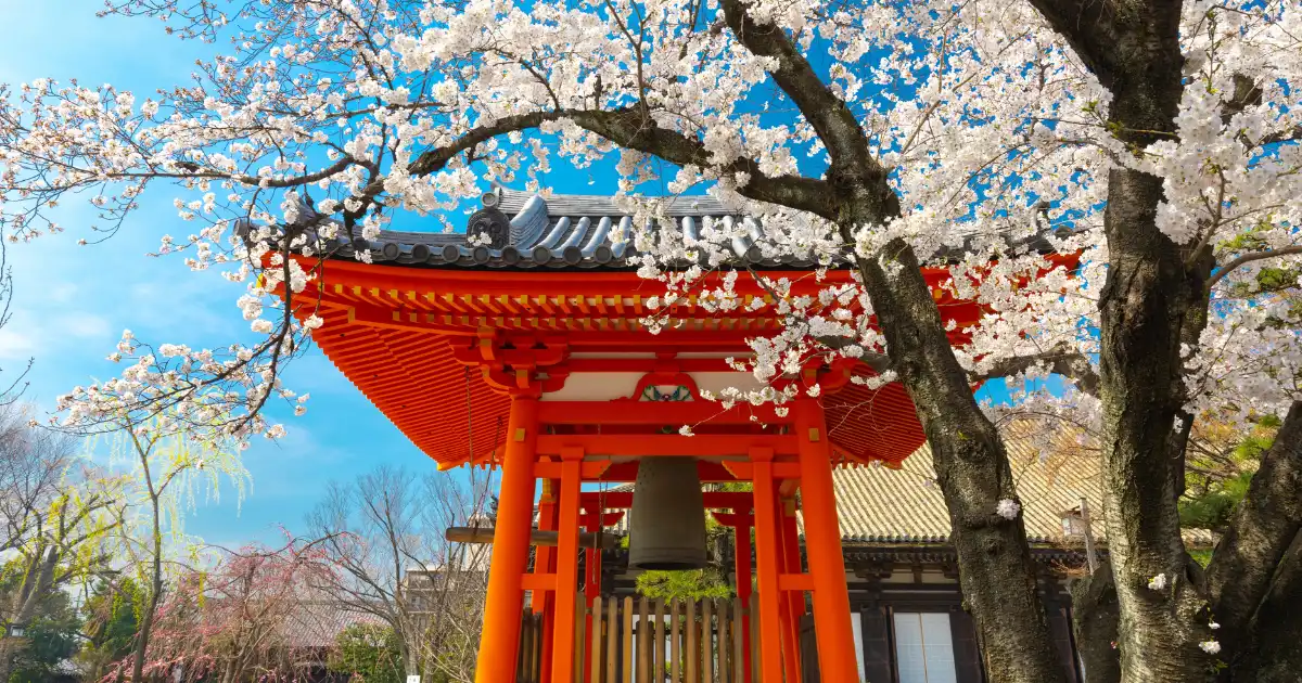 Quand partir au Japon ? Guide complet des saisons