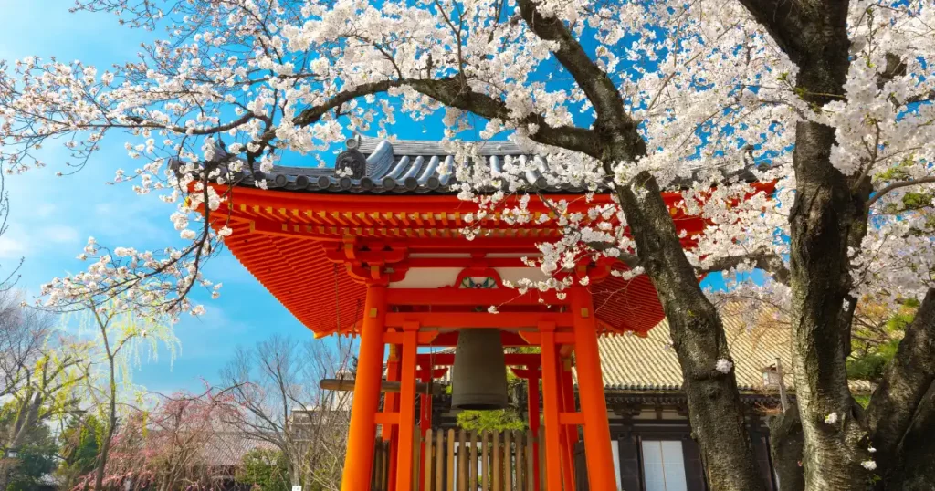 Sakura et temple japonais au printemps à Kyoto Temple japonais entouré de cerisiers en fleurs au printemps à Kyoto pendant la saison des sakura au Japon.