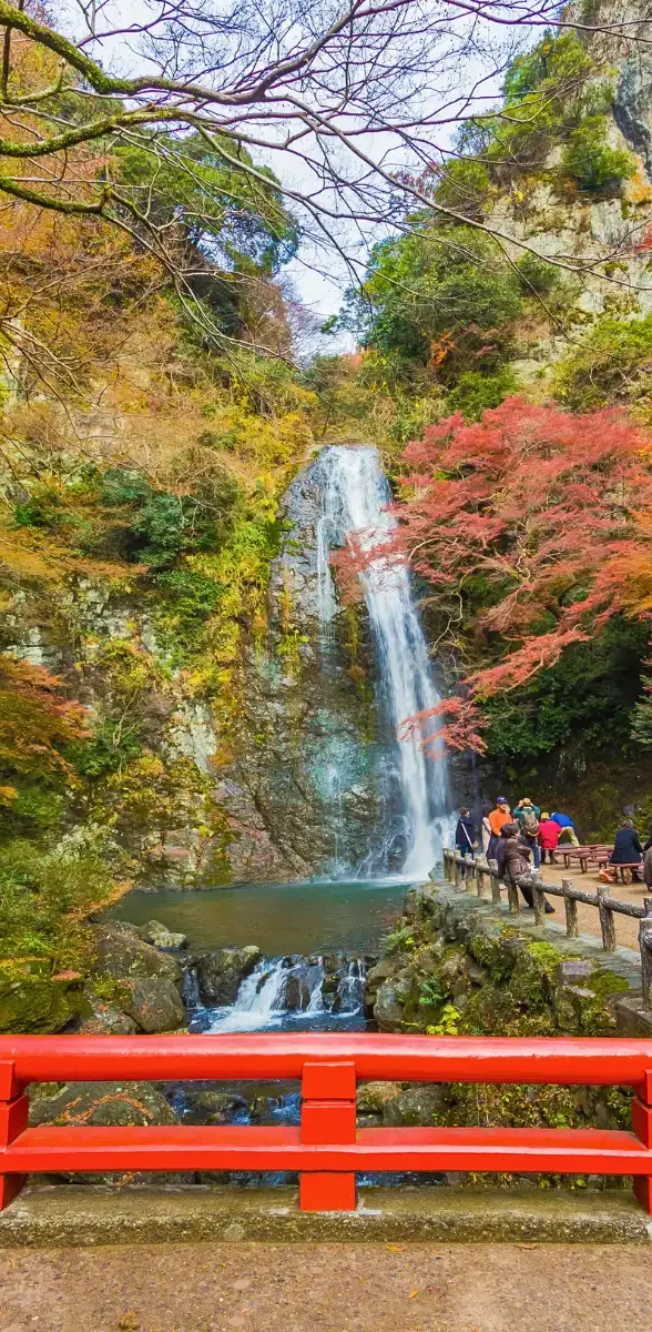 Cascade de Minoo en automne dans les montagnes d’Osaka au Japon rouges en automne Cascade de Minoo entourée d’érables rouges et d’un pont japonais dans le parc naturel de Minoo près d’Osaka, au cœur des paysages d’automne.
