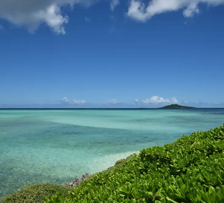 Texte alternatif :
Lagon turquoise bordé de végétation tropicale dans les îles d’Okinawa.