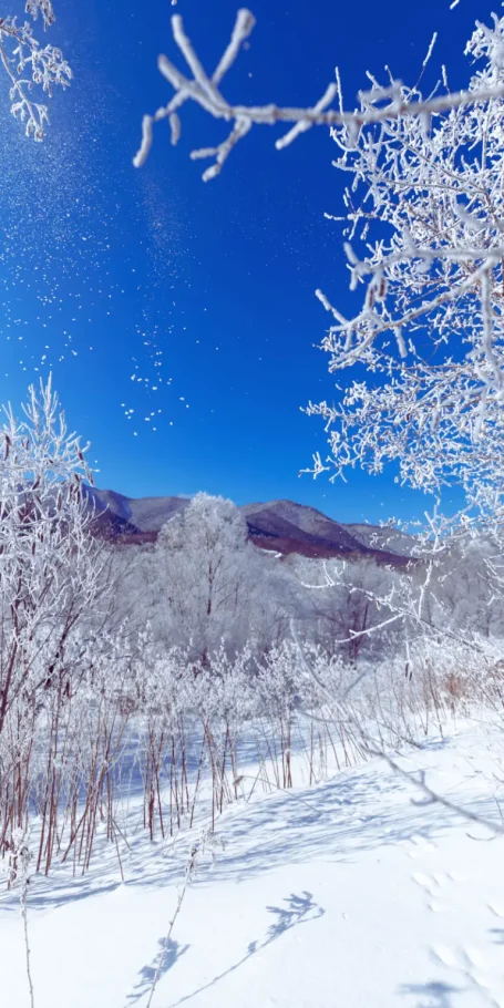 Pack Suzuran Paysage enneigé dans le nord du Japon avec forêt hivernale et montagnes sous un ciel bleu, illustrant le Pack Suzuran.