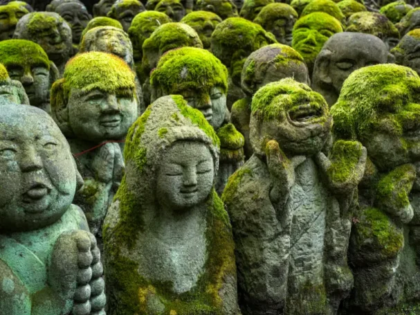 Paysage naturel et spirituel au Japon mêlant montagnes verdoyantes, temples et chemins traditionnels, illustrant le Pack Ume de J’Go Japon.