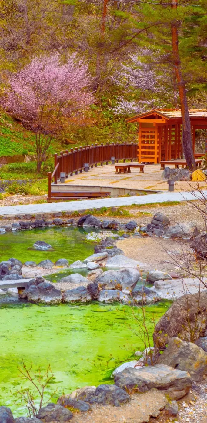 Bassin thermal à Kusatsu Onsen à Gunma entouré de nature et installations traditionnelles