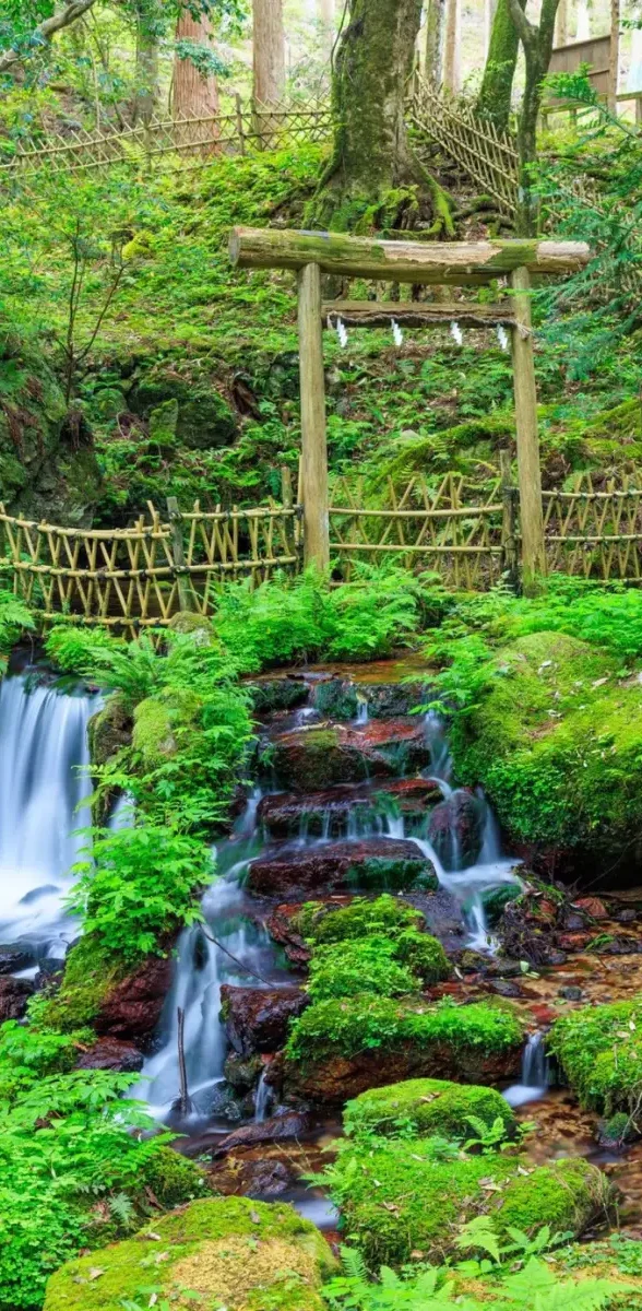 Cascade dans une forêt japonaise avec torii en bois et végétation luxuriante à Fukui
