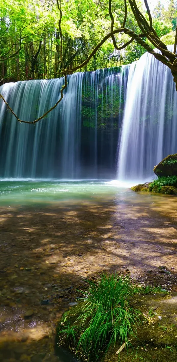 Cascade de Nabegataki entourée de forêt verdoyante à Kumamoto, célèbre pour son rideau d’eau naturel au Japon.