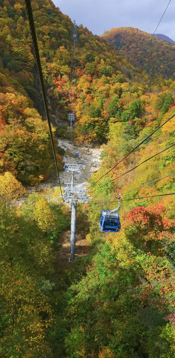 Télécabine traversant les montagnes colorées de Naeba à Niigata au Japon, avec vallée sauvage et forêt aux couleurs d’automne éclatantes.