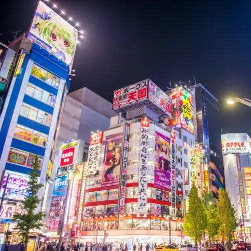 Enseignes lumineuses et boutiques spécialisées manga et anime dans le quartier d'Akihabara à Tokyo