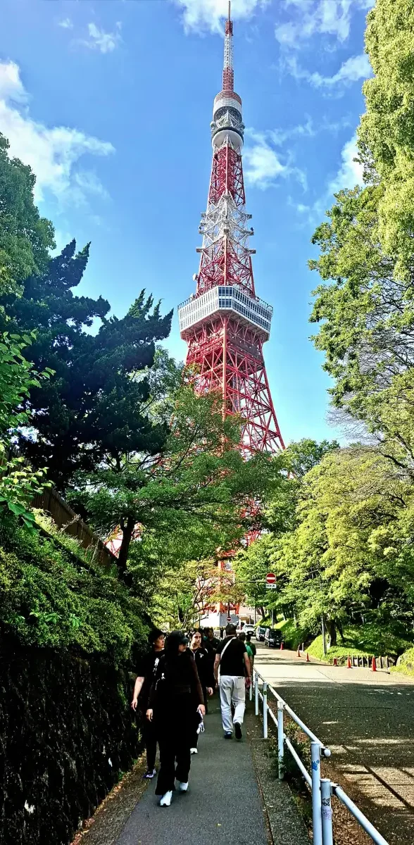 Tokyo Tower au cœur de la nature urbaine à Tokyo Vue de la Tokyo Tower rouge et blanche dominant une allée bordée d’arbres verdoyants à Tokyo.
