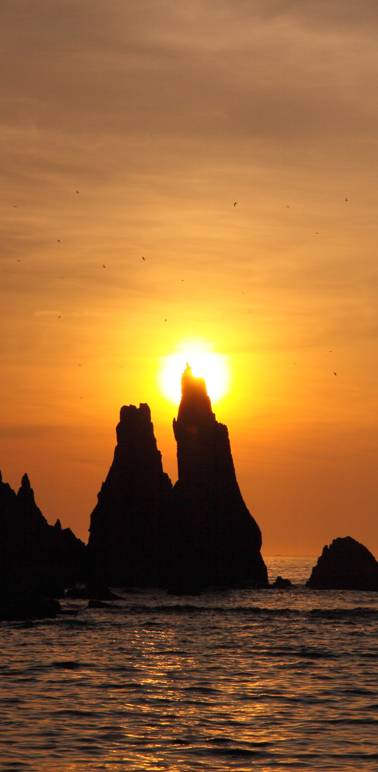 Paysage côtier de Wakayama avec formations rocheuses au coucher du soleil