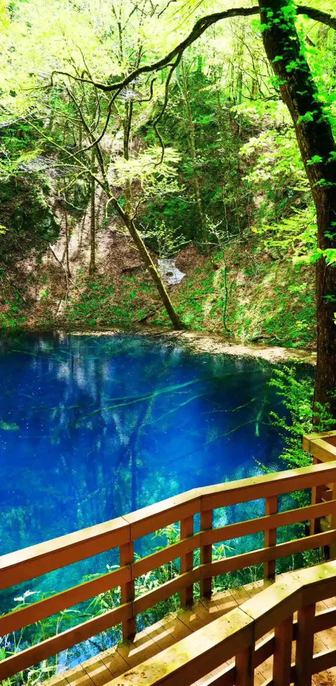 Étang Aoike à Aomori avec eau bleu intense entourée de forêt naturelle au Japon