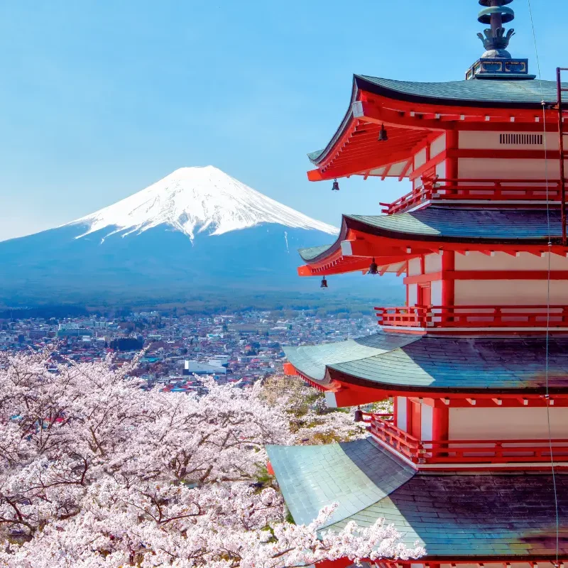 Mont Fuji & paysages emblématiques du Japon | J’Go Japon Vue du Mont Fuji et de la pagode Chureito entourés des couleurs de printemps au Japon