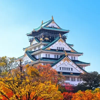 pont entouré d'une forêt d’érables rouges au Japon en automne