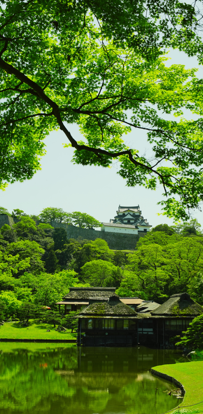 Jardin japonais à Hikone avec vue sur le château à Shiga Jardin japonais avec étang et végétation à Shiga avec château en arrière-plan