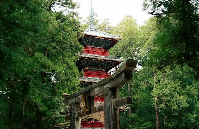 Pagode japonaise entourée d’une forêt dense dans le site historique de Nikko.