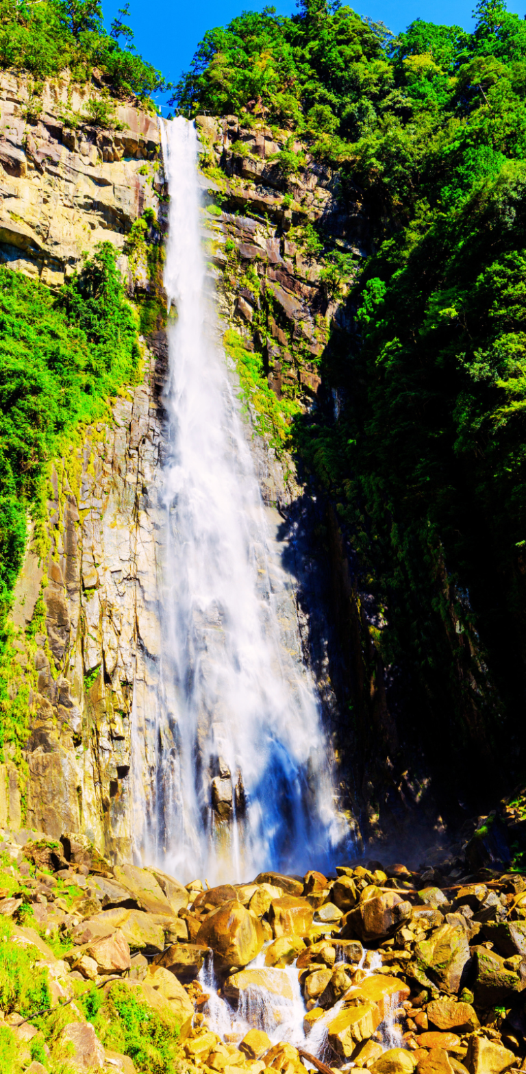 Cascade de Nachi à Wakayama au Japon entourée de nature luxuriante