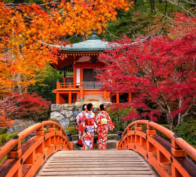 Voyage sur mesure au Japon entre temples et traditions | J’Go Japon Voyageuses en kimono traversant un pont rouge devant un temple japonais entouré d’érables d’automne à Kyoto