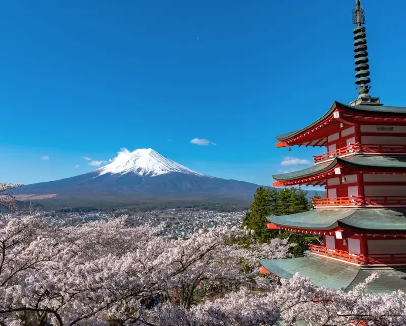 Pagode Chureito avec le mont Fuji et cerisiers en fleurs au Japon – voyage sur mesure Japon