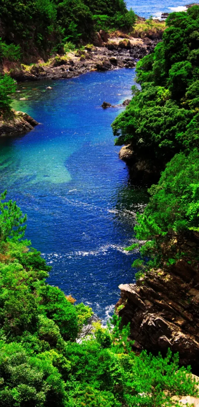Rivière traversant une nature dense à Kagoshima avec vue sur la mer au Japon