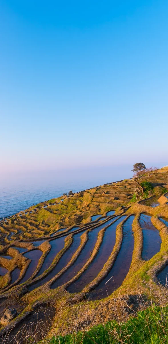 Rizières en terrasses de Shiroyone Senmaida à Ishikawa au Japon Rizières en terrasses de Shiroyone Senmaida sur la côte d’Ishikawa avec vue sur la mer au Japon
