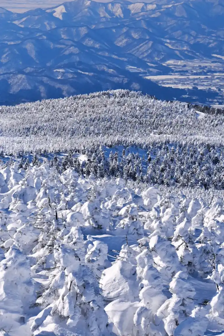 Yamagata Montagnes enneigées à Yamagata avec arbres recouverts de neige – paysage hivernal au Japon