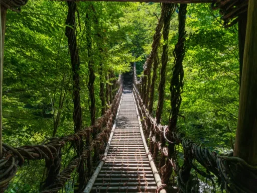 Pack Tsubaki Pont suspendu en bois au cœur d’une forêt luxuriante au Japon, illustrant le Pack Tsubaki de J’Go Japon.