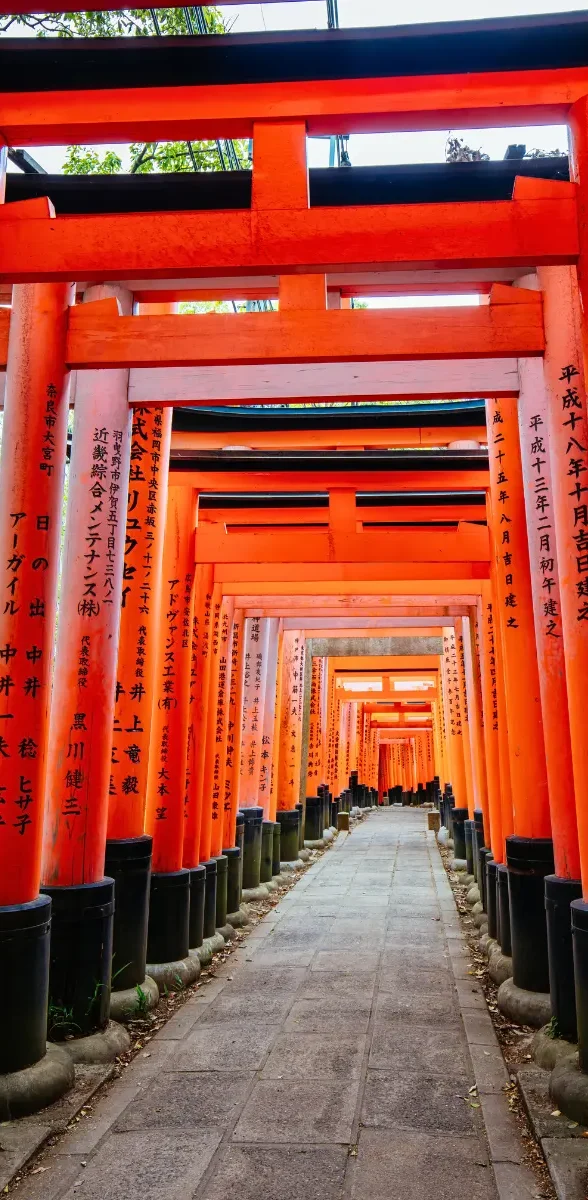 Fushimi Inari et ses milliers de torii à Kyoto Allée de torii rouges du sanctuaire Fushimi Inari à Kyoto, célèbre chemin traditionnel japonais bordé de portes vermillon.