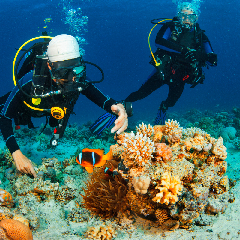 Plongée au Japon – Explorez les fonds marins d’Okinawa et des îles du Sud Plongée sous-marine au Japon avec coraux et poissons tropicaux à Okinawa