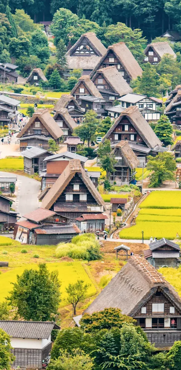 Maison traditionnelle gassho-zukuri à Shirakawa-go au Japon Maison traditionnelle gassho-zukuri à Shirakawa-go avec rizières et montagnes au Japon