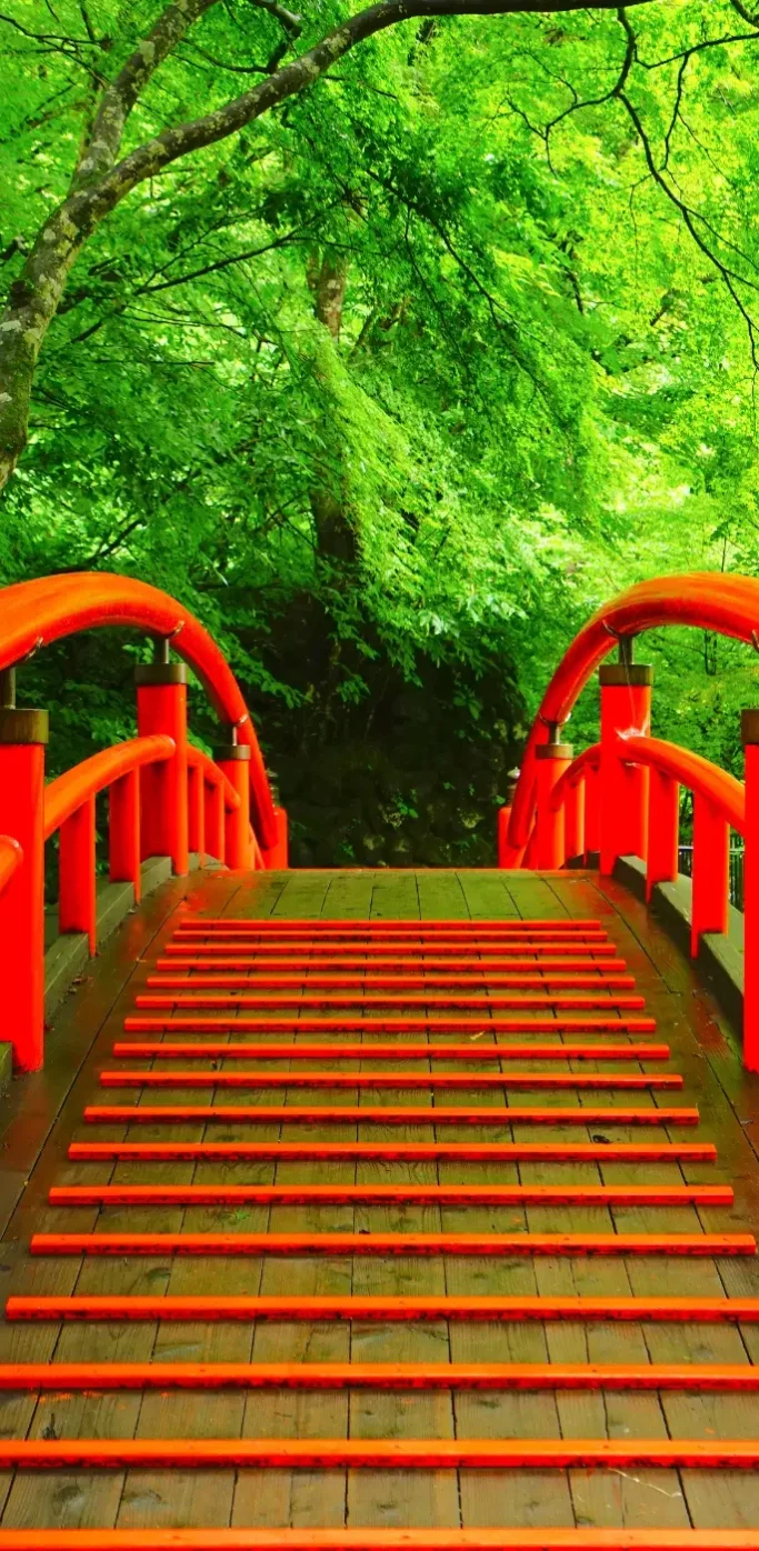 Pont rouge en bois traversant une forêt verdoyante dans la préfecture de Gunma au Japon