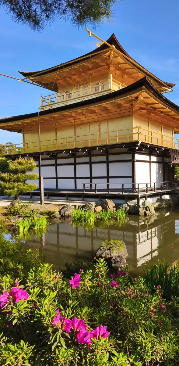 Temple Kinkaku-ji au coucher du soleil à Kyoto Temple Kinkaku-ji reflété dans un étang entouré de jardin japonais et de fleurs à Kyoto, célèbre pavillon doré du Japon.