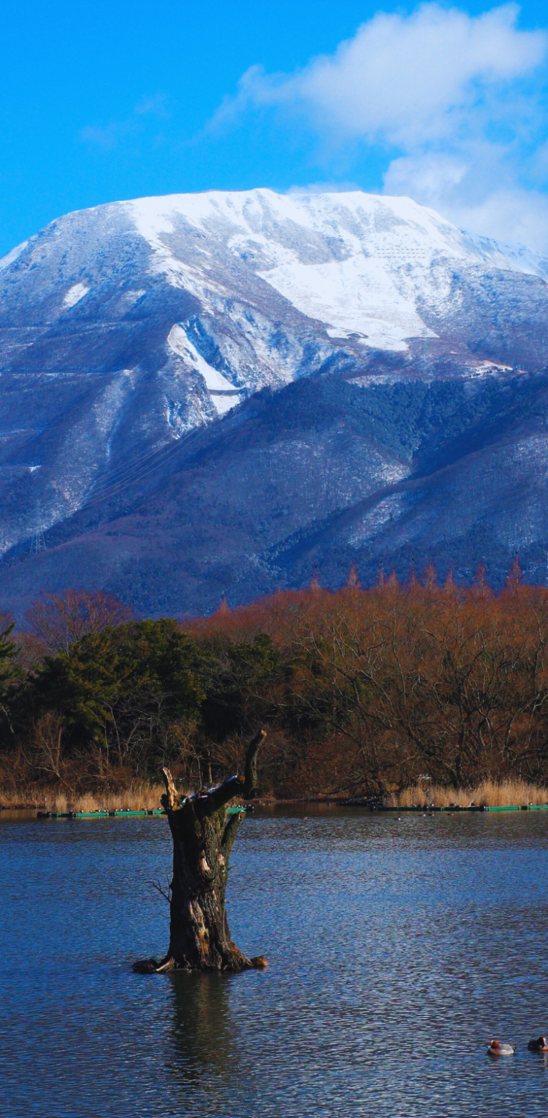 Mont Ibuki avec vue sur le lac Biwa à Shiga au Japon Mont Ibuki enneigé surplombant le lac Biwa à Shiga au Japon