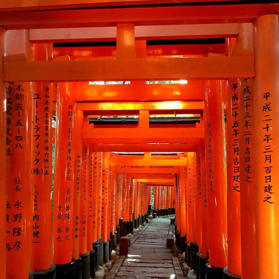 Kyoto & sanctuaires emblématiques | Voyage culturel au Japon | J’Go Japon Allée de torii rouges du sanctuaire Fushimi Inari à Kyoto au Japon