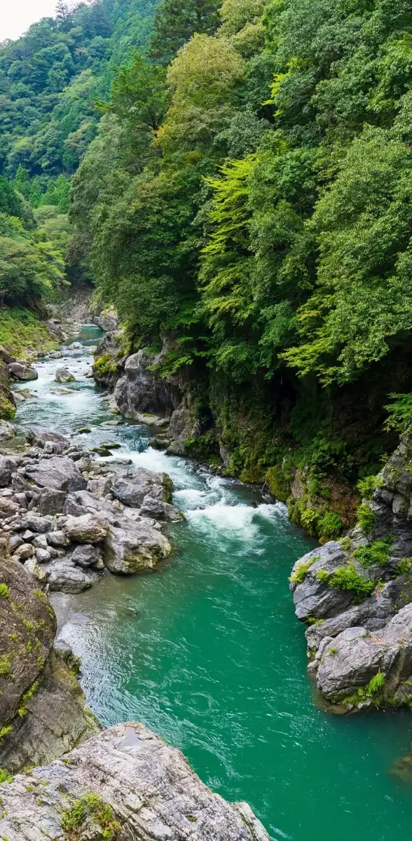 Rivière et paysages naturels d’Okutama près de Tokyo Vue sur une rivière aux eaux turquoise traversant les gorges verdoyantes d’Okutama, région naturelle montagneuse située à l’ouest de Tokyo,