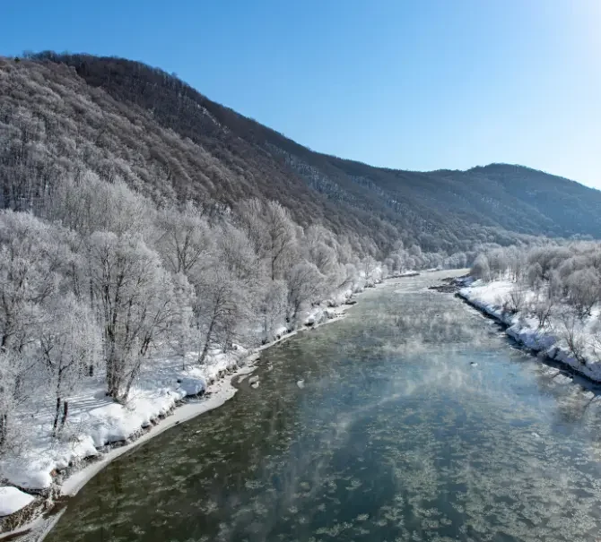 Rivière bordée de forêts enneigées au cœur des montagnes de Hokkaidō.