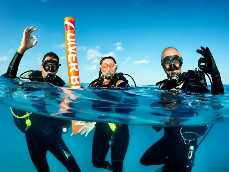 Plongée encadrée au Japon – Une expérience accessible à tous Plongée encadrée au Japon avec moniteurs en mer à Okinawa