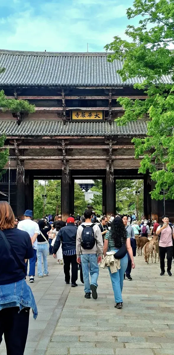 Temple Todai-ji et daims sacrés à Nara au Japon Visiteurs et daims sacrés devant la porte du temple Todai-ji à Nara au Japon, célèbre site historique et spirituel japonais.